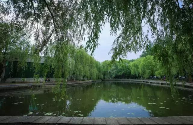 沈阳师范大学青春,再见青春沈阳