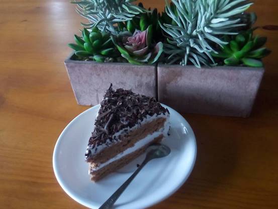 成都bv电线电缆厂家,成都知名的电缆生产厂家