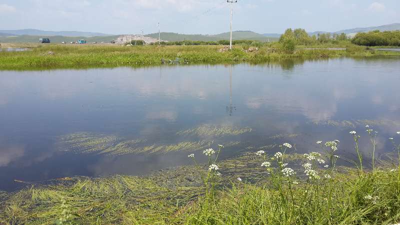 清华虾哥致定西学弟:职业无贵贱、学成来做虾