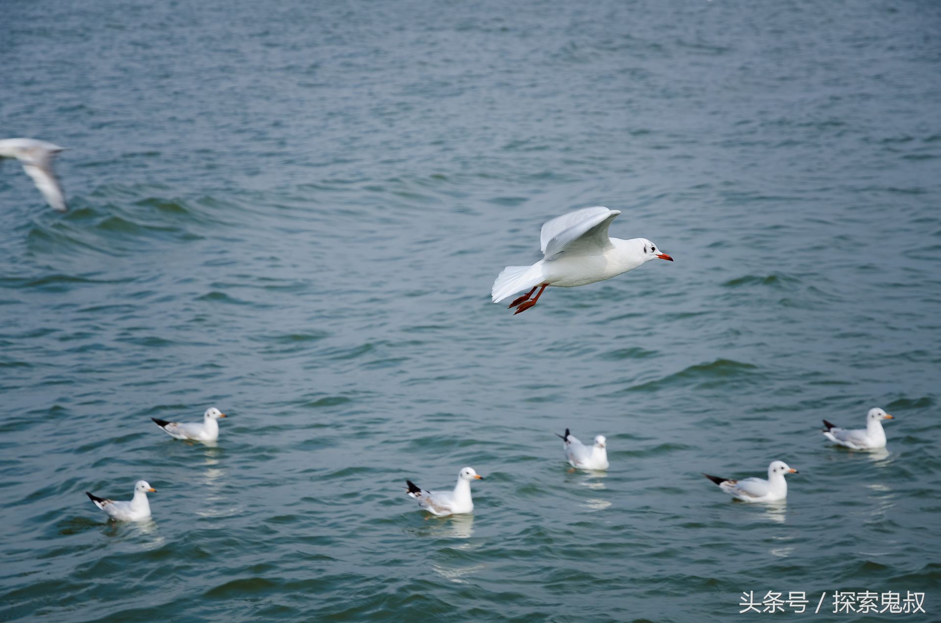 四川邛海水下古城,神秘消失的部落