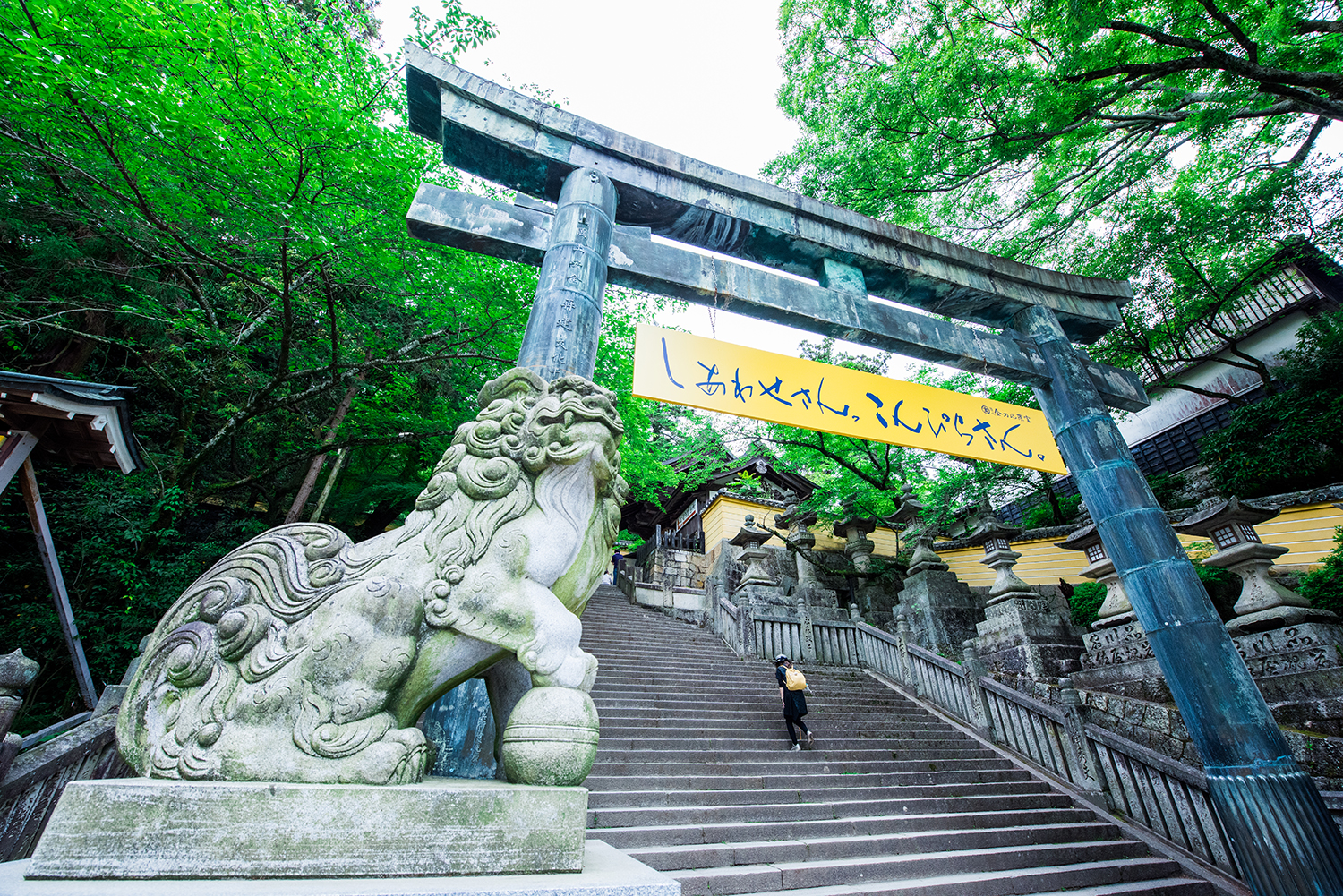 浮生日本四国·你所未曾感受的香川印象