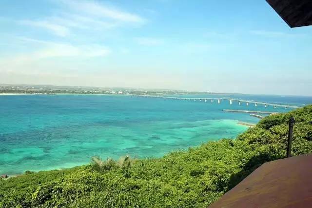 星梦邮轮顺德,星梦邮轮儿子最新视频