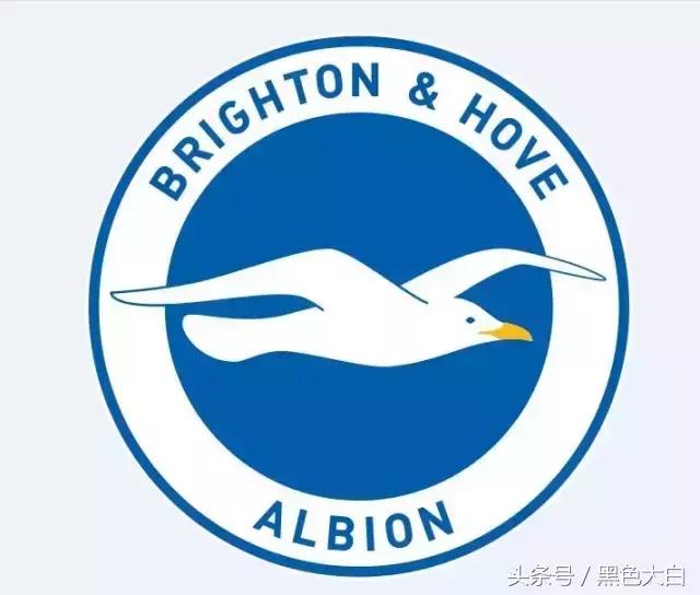 宁做凤尾不*鸡做**头——五大联赛“升班马”新军，25万人小镇球队领衔，最后一个不简单