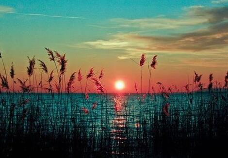 做到这五步轻松让老板给你涨工资,谈薪资的技巧和策略