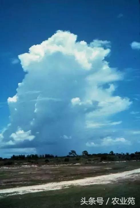 怎么根据云彩来判断天气,云彩识别天气图解
