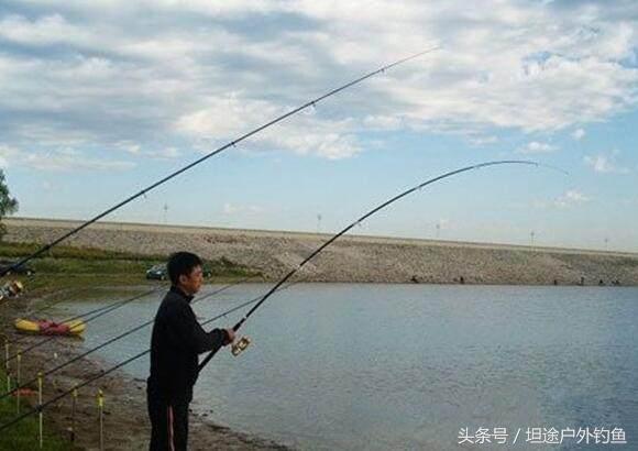怎么正确钓鲶鱼技巧和方法,鲶鱼怎么钓效果最好