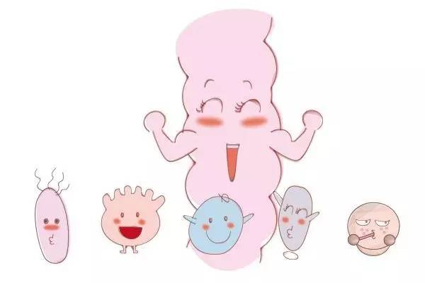 剖腹产宝宝补益生菌,剖腹产后出现大肠杆菌是怎么回事