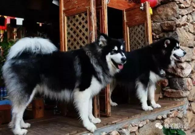 毕业了，我们去丽江吧附：毕业旅行青旅推介