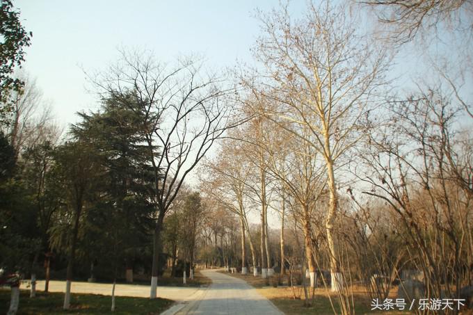 郑州思念果岭是森林公园吗,郑州思念果岭高尔夫球场