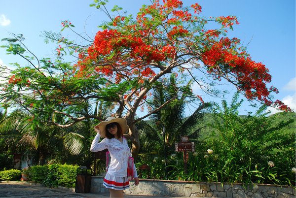 蜜月自驾游攻略视频,自驾游五天四晚自由行攻略