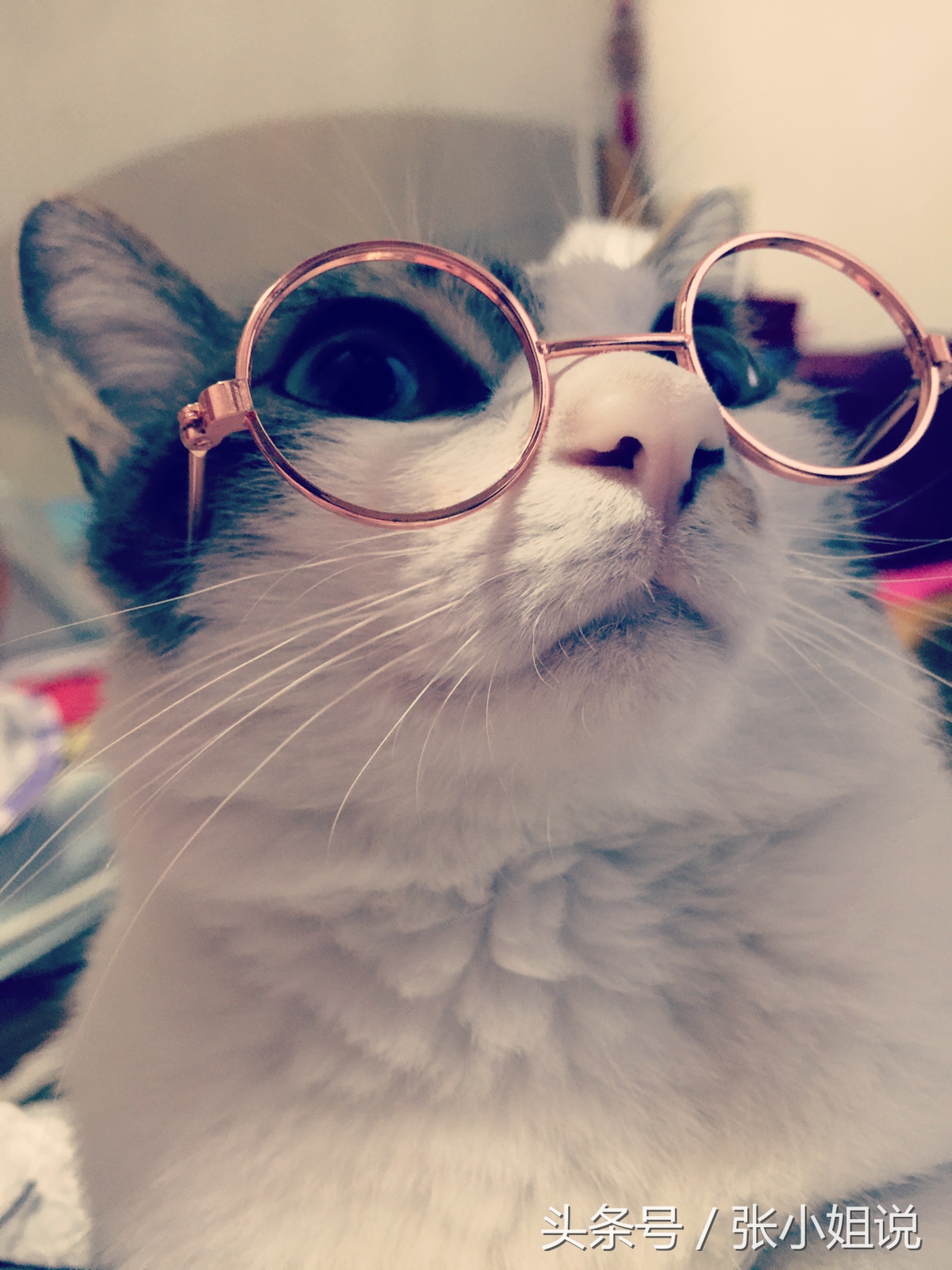 大龄单身青年解决婚姻问题,身为青年应当怎么样