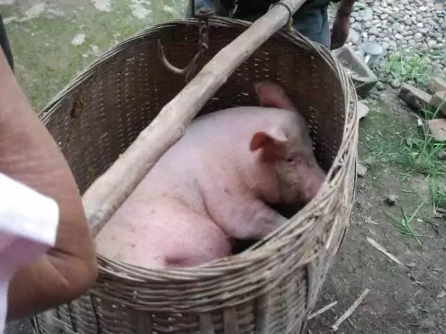 物流那些奇葩事,物流原来这么有趣