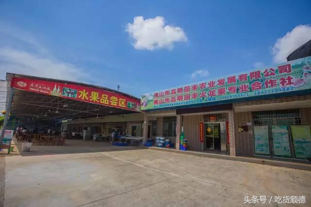 高明可以摘水果的农庄,高明60亩农庄