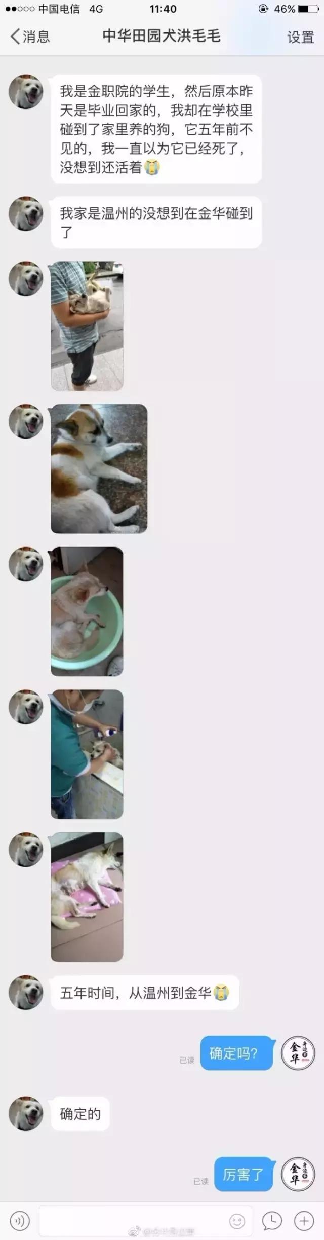 狗狗记忆力揭秘,狗狗有哪些神奇的记忆