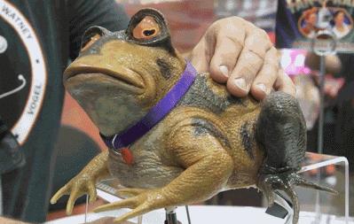 手机掉厕所怎么除臭,手机掉厕所里怎么拿出来