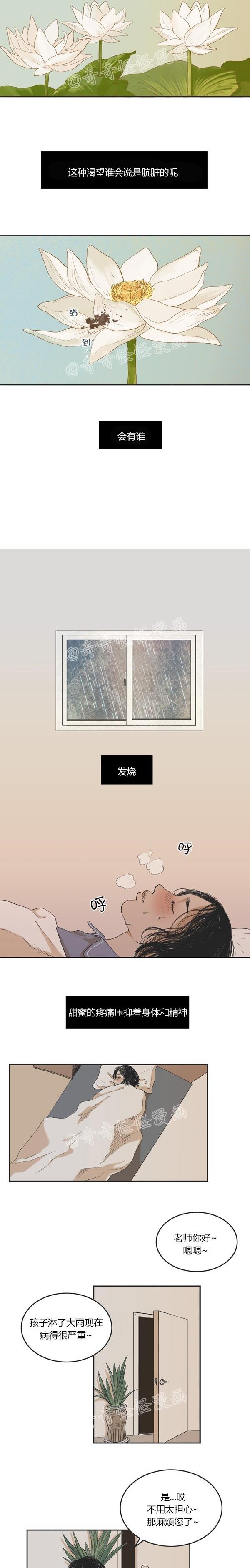 睡前漫画韩国高人气漫画莲花，你还记得初恋是什么感觉吗？