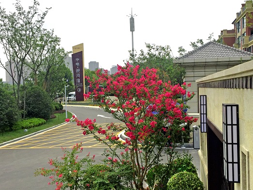 中电银河湾业主评价,银河湾一期交房时间