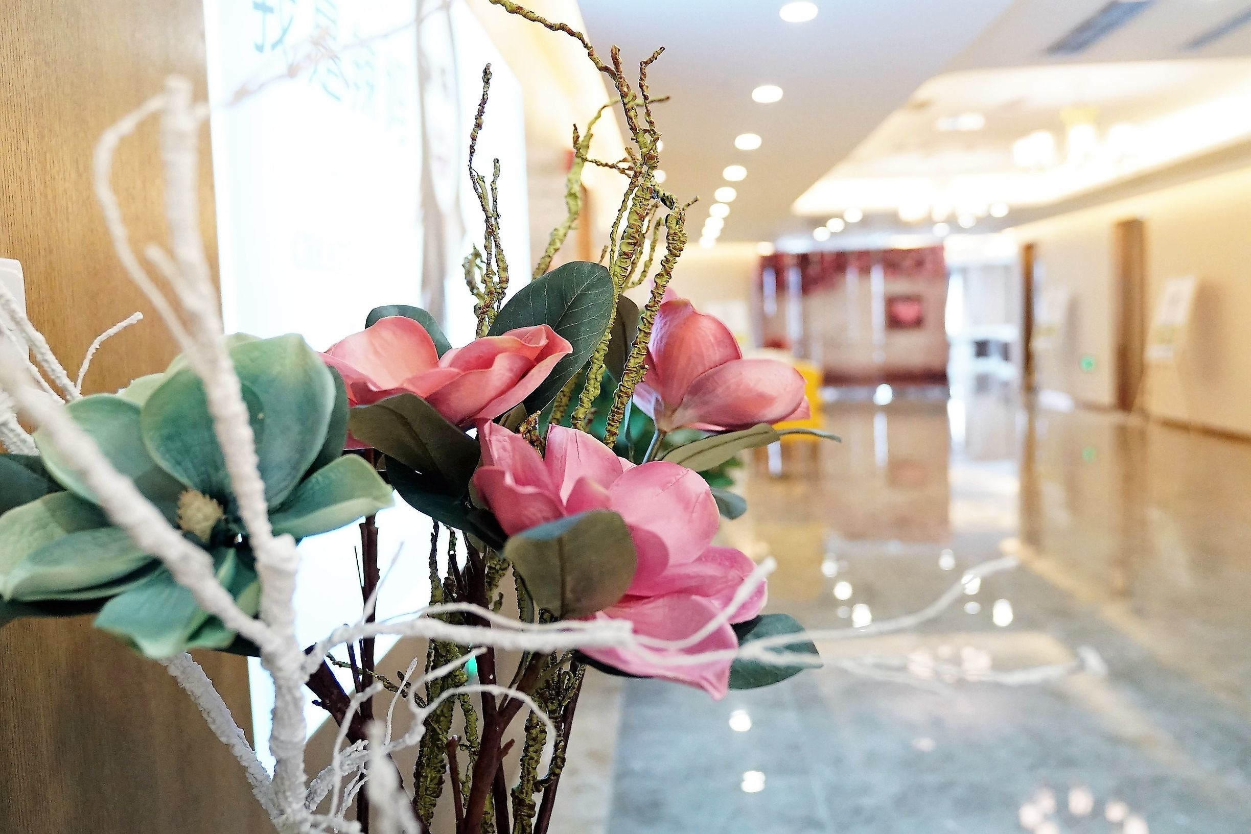 思聪和上海万达,思聪万达瑞华酒店