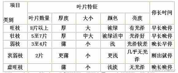 夏季果树环剥要慎重,不是所有果树都可以环剥哦!(附各类果树环剥操作技术)