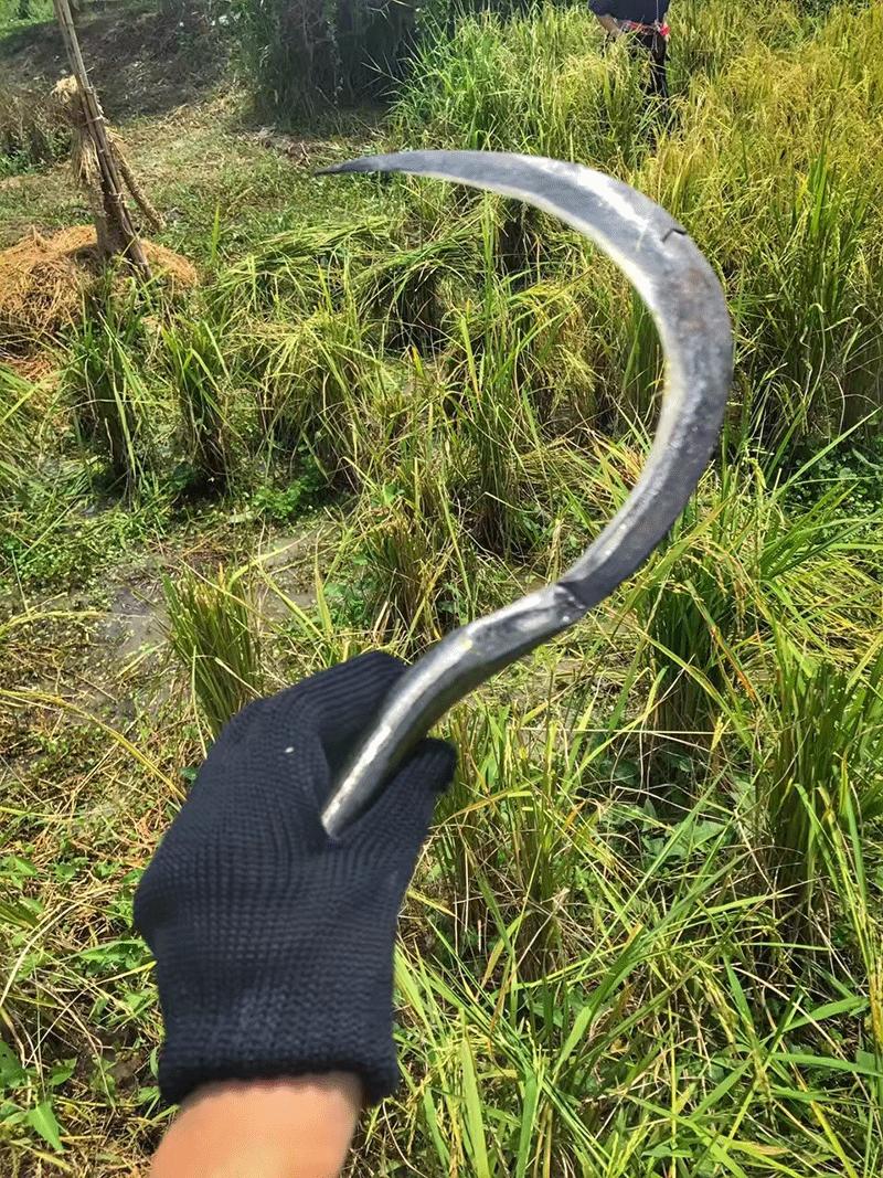 泰国曼谷娜娜街攻略 (泰国曼谷住宿攻略)