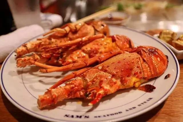 星梦邮轮顺德,星梦邮轮儿子最新视频