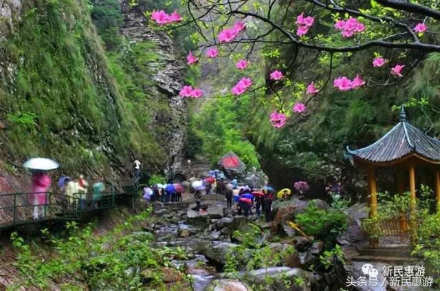 在太湖看大自然风景,感受大自然的气息和太湖沿途风景