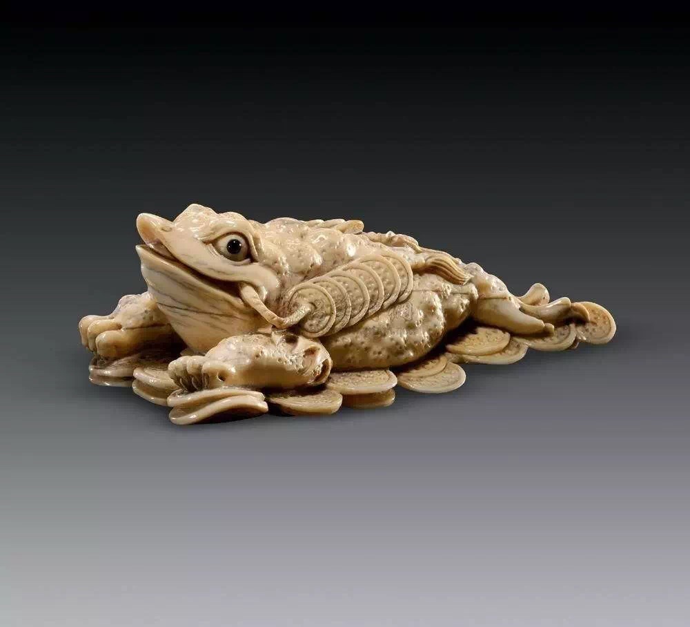 普洱养什么茶宠,茶宠能用普洱生茶养吗