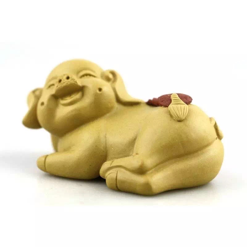 普洱养什么茶宠,茶宠能用普洱生茶养吗