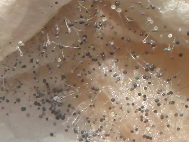 地下室有必要花钱买吗,有没有必要买地下室