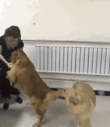 GIF，当你走在高山流水，要小心画地为牢！哈哈！走村庄里要小心！