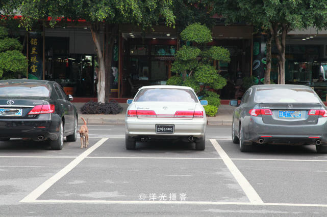 云南瑞丽翡翠玉器交易市场,瑞丽姐告翡翠批发市场在哪里