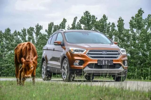 2000公里*力暴**长测，加量不加价的新福特翼虎值得购买吗？