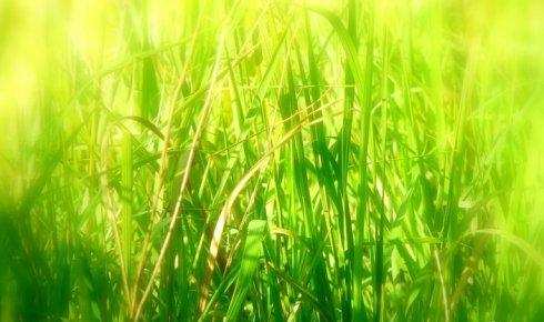 广东高考前20名文理学霸,2019年广东高考学霸