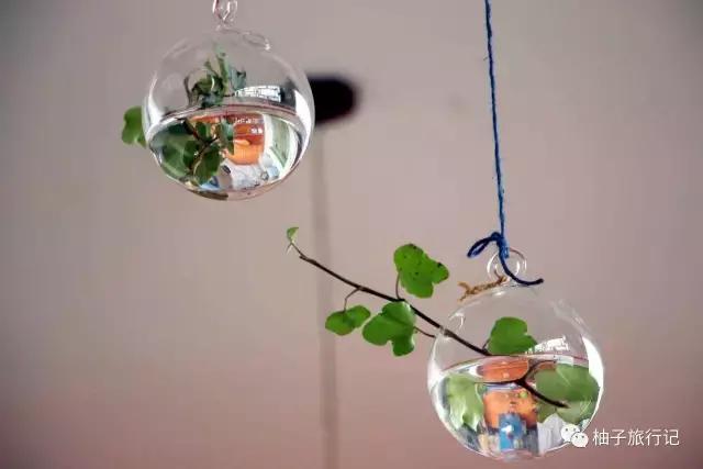 毕业了，我们去丽江吧附：毕业旅行青旅推介