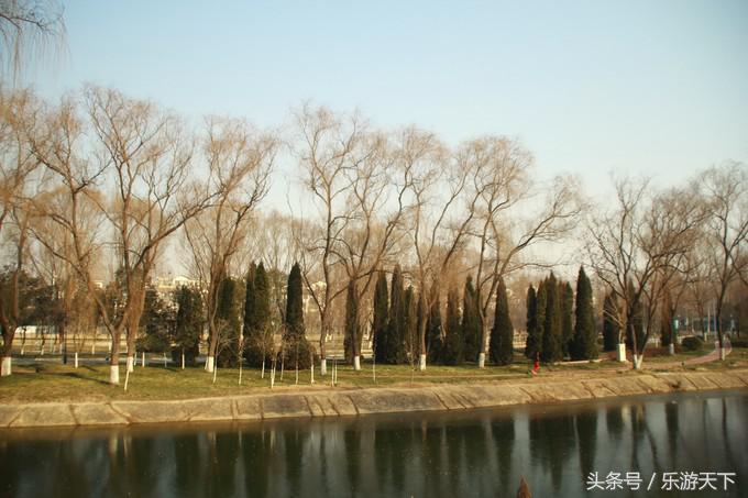 郑州思念果岭是森林公园吗,郑州思念果岭高尔夫球场