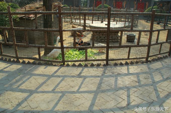 郑州思念果岭是森林公园吗,郑州思念果岭高尔夫球场