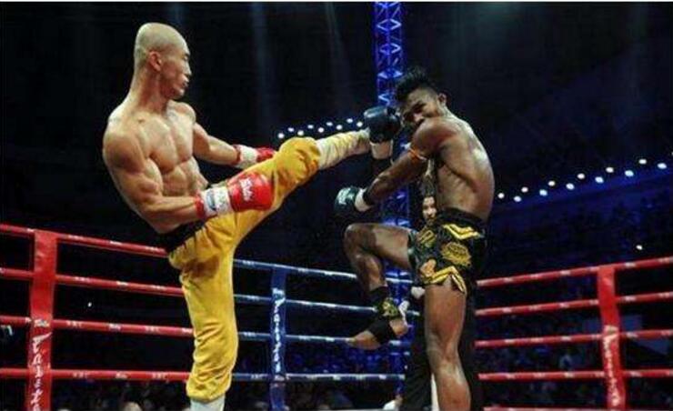 一龙发展如何,一龙为什么一直饱受争议