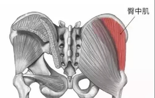 蜜臀肌肉怎么锻炼,练蜜臀的王牌动作