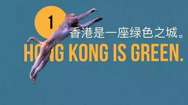 关于香港的小知识,关于香港的知识10个字