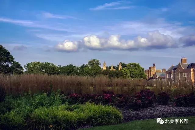 圣路易斯华盛顿大学相当于国内,圣路易斯华盛顿大学优势专业