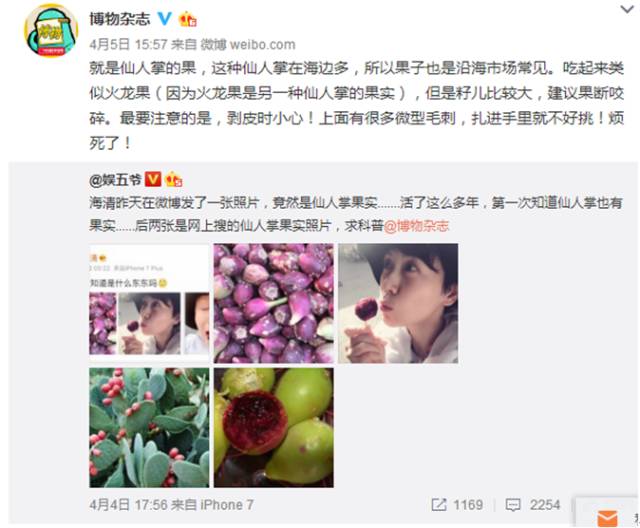 微博营销策略与方法,企业微博营销案例