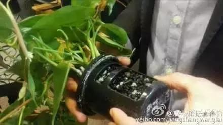 为居室带来高山空气的智能植物墙——芬兰清洁技术考察之旅见闻（一）