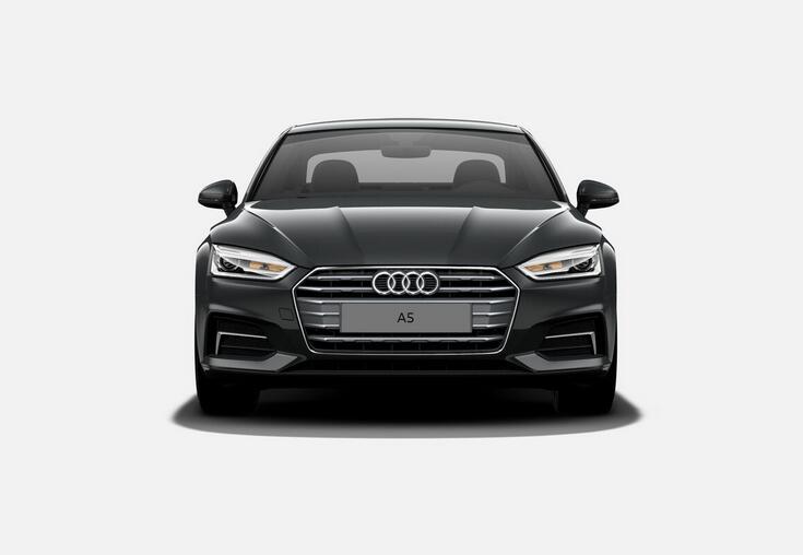 新款奥迪a5李荣浩,吴秀波蒋雯丽李荣浩柳岩亮相