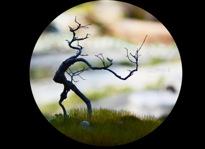 鎷滆涓滅鑽夊爞,鑺卞洯鎷滆