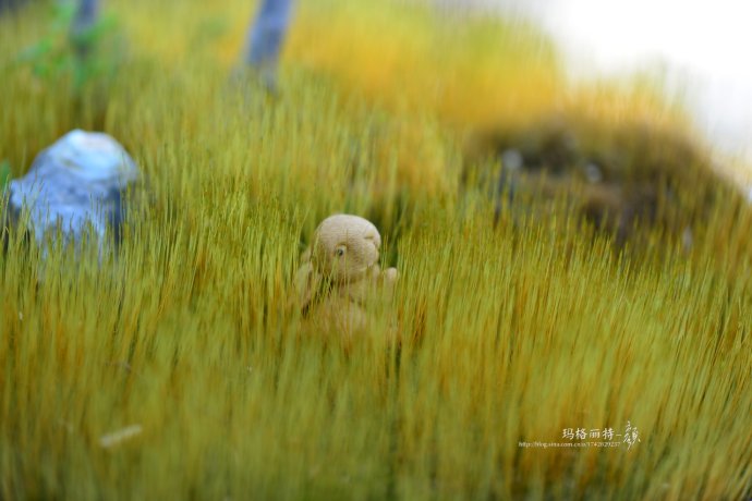 鎷滆涓滅鑽夊爞,鑺卞洯鎷滆