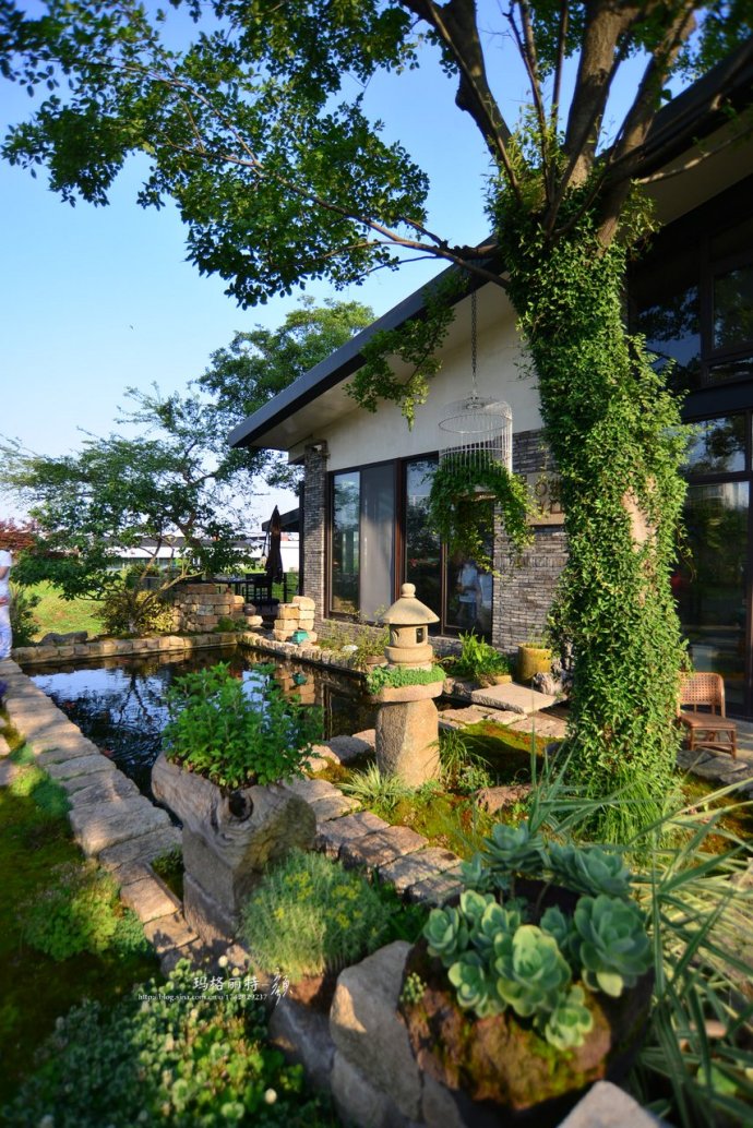 鎷滆涓滅鑽夊爞,鑺卞洯鎷滆