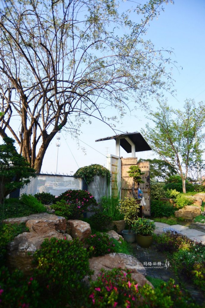 鎷滆涓滅鑽夊爞,鑺卞洯鎷滆