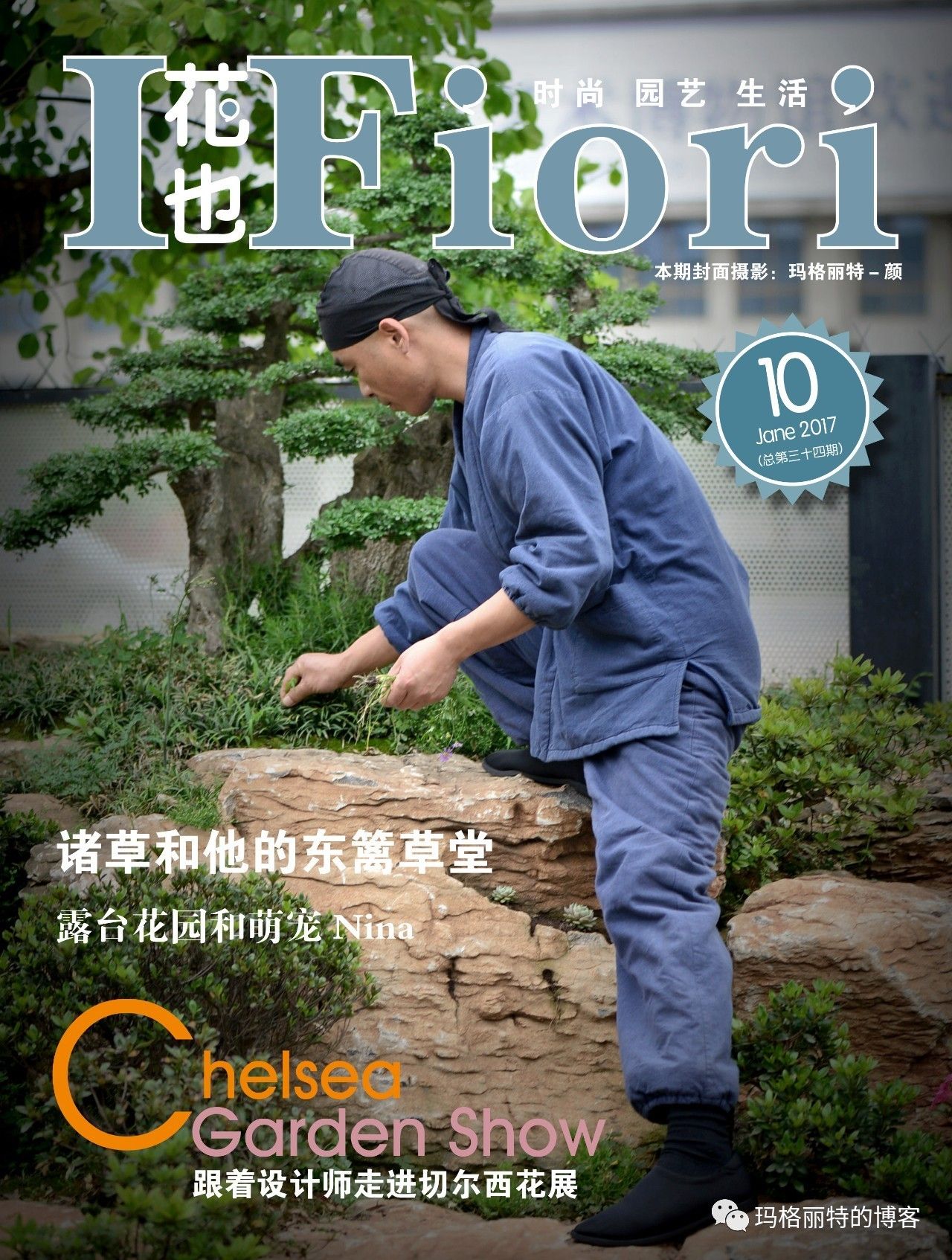 鎷滆涓滅鑽夊爞,鑺卞洯鎷滆