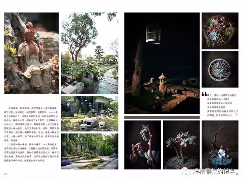 鎷滆涓滅鑽夊爞,鑺卞洯鎷滆