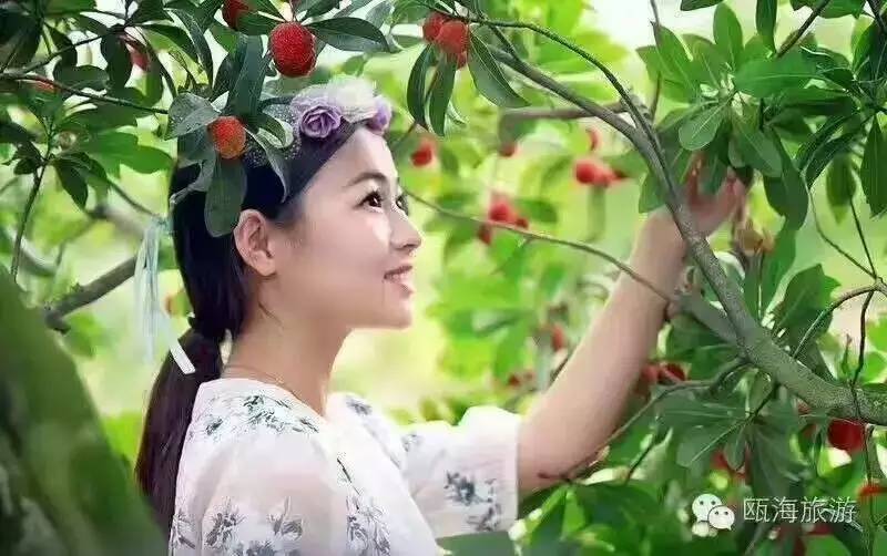 曾经3万个水果微商代理,不玩了!水果+互联网,进入质时代!